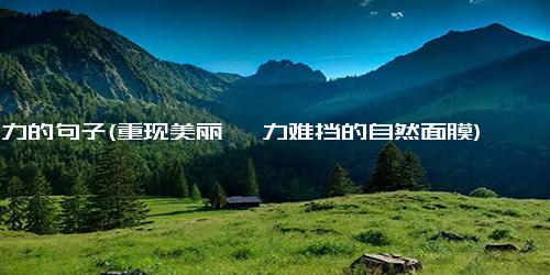 魅力的句子(重现美丽 魅力难挡的自然面膜)